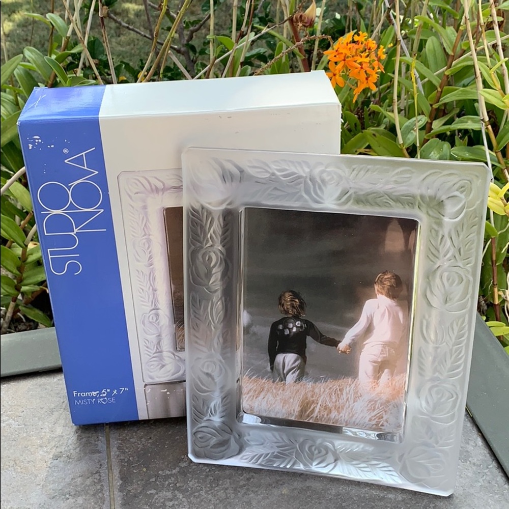 Studio Nova 5x7 Misty Rose picture frame